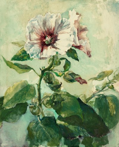 Studie von rosa Stockrosen im Sonnenlicht, aus der Natur von John La Farge or Lafarge